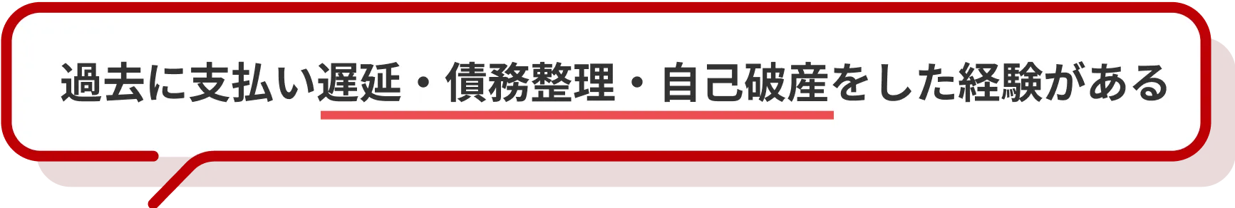 過去に支払い遅延・債務整理・自己破産をした経験がある